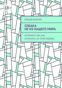 Собака не из нашего мира. История о том, как отпускать, не теряя любовь