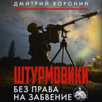 Штурмовики. Без права на забвение