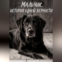 Мальчик. История одной верности