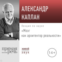 Лекция «Мозг как архитектор реальности»
