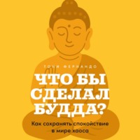 Что бы сделал Будда? Как сохранять спокойствие в мире хаоса