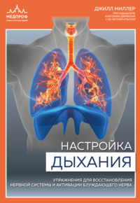 Настройка дыхания. Упражнения для восстановления нервной системы и активации блуждающего нерва