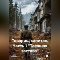 Товарищ капитан. Часть 1 «Таежная застава»
