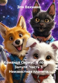 Команда Сириус. В поисках Залула. Часть 3. Неизвестная планета.