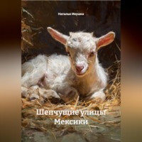 Шепчущие улицы Мексики
