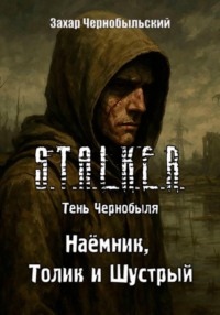 Сталкер. Тень Чернобыля. Наёмник, Толик и Шустрый