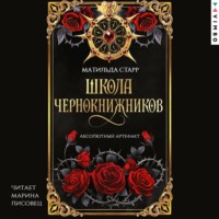 Школа чернокнижников. Абсолютный артефакт