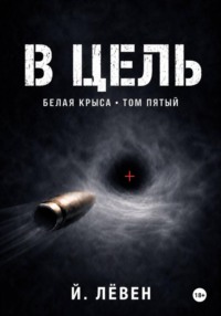 В цель