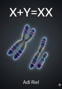 X+Y=XX