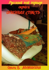 Русский той терьер окраса ОГНЕННАЯ СТРАСТЬ