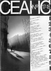 Сеанс № 17/18 1999 г.