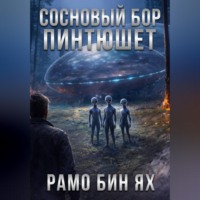 СОСНОВЫЙ БОР ПИНТЮШЕТ