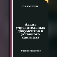 Аудит учредительных документов и уставного капитала
