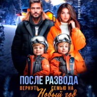 После развода. Вернуть семью на Новый год