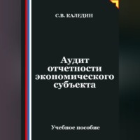 Аудит отчетности экономического субъекта