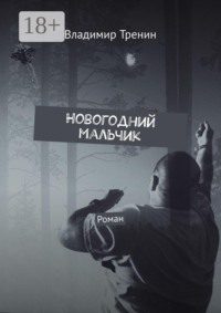Новогодний мальчик. Роман