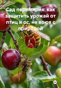Сад перемирия: как защитить урожай от птиц и ос, не воюя с природой