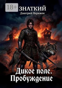 Знаткий. Дикое Поле. Пробуждение