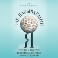 Так называемый Я. Учения о пустоте и взаимозависимом происхождении