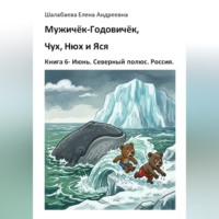 Книга 6 - Июнь. Северный полюс. Россия.