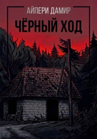 Чёрный ход