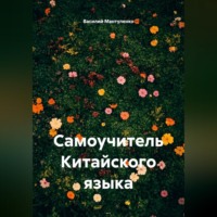 Самоучитель Китайского языка