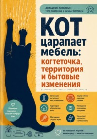 Кот царапает мебель: когтеточка, территория и бытовые изменения