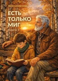 Есть только миг. Книга 5