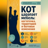 Кот царапает мебель: когтеточка, территория и бытовые изменения