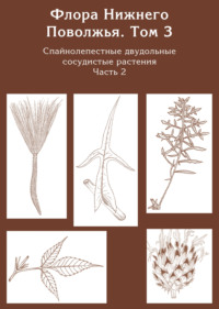 Флора Нижнего Поволжья. Том 3. Часть 2. Спайнолепестные двудольные сосудистые растения (Asteraceae). Дополнения к предыдущим томам