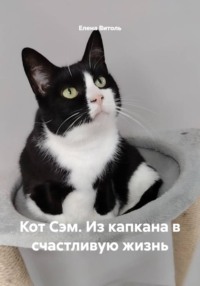 Кот Сэм. Из капкана в счастливую жизнь