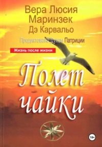 Полет чайки