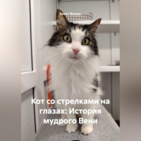 Кот со стрелками на глазах: История мудрого Вени