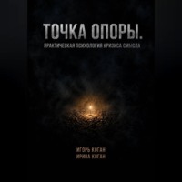 Точка опоры. Практическая психология кризиса смысла