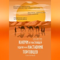 Ключи от настоящей удачи, или Наставник торговцев. Том первый