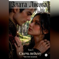 Сжечь ведьму. Том 3. Чистое пламя