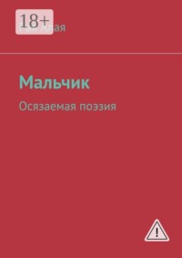 Мальчик. Осязаемая поэзия