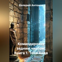 Командировка задним числом. Книга 1. Тени Аида