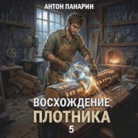 Восхождение Плотника. Том 5