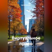 Виртуальное право