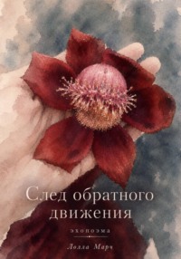 След обратного движения