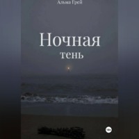 Ночная тень