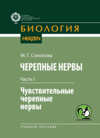 Черепные нервы. Часть I. Чувствительные черепные нервы