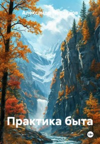 Практика быта