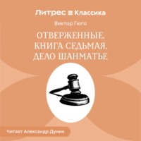 Отверженные. Книга седьмая. ДЕЛО ШАНМАТЬЕ