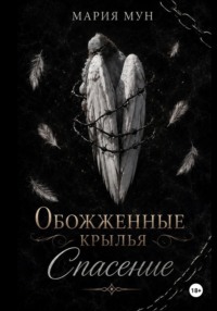 Обожженные крылья. Спасение
