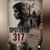 Протокол 317