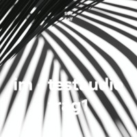im – testaudio frag1