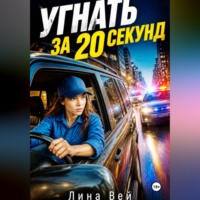 Угнать за 20 секунд
