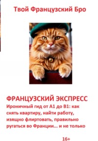 Французский экспресс: Ироничный гид от А1 до В1: как снять квартиру, найти работу, изящно флиртовать, правильно ругаться во Франции... и не только